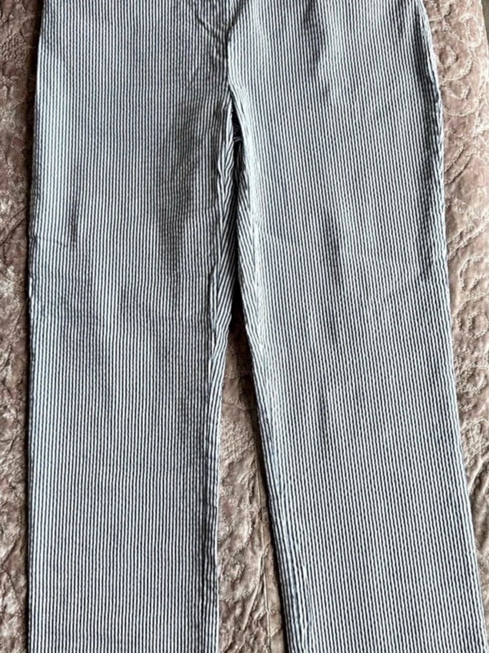 Hilary Radley Striped Straight Leg Pants in Blue & White Size Small